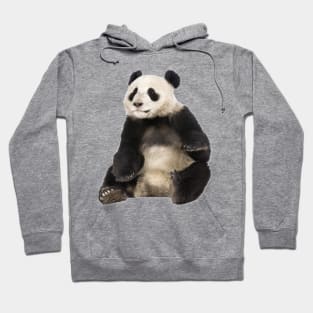 Giant Panda Hoodie